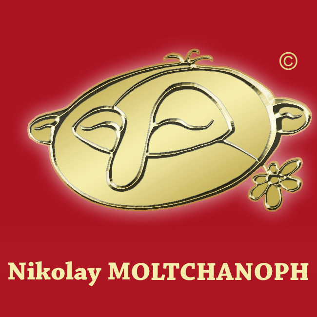 Nikolay’s Substack logo