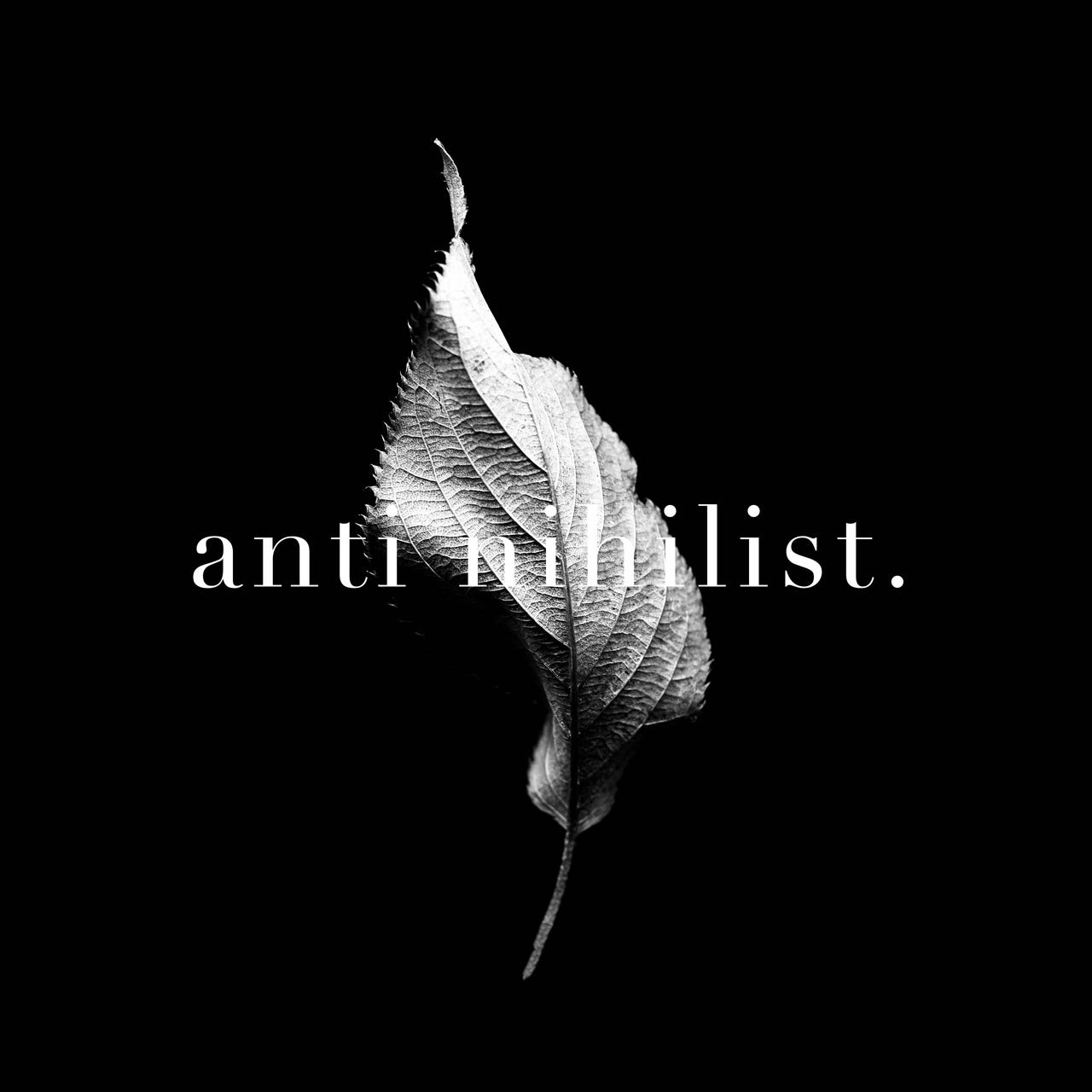 Anti Nihilist