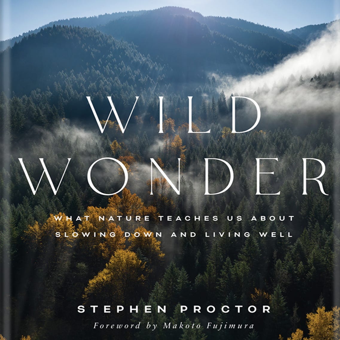 WILD WONDER