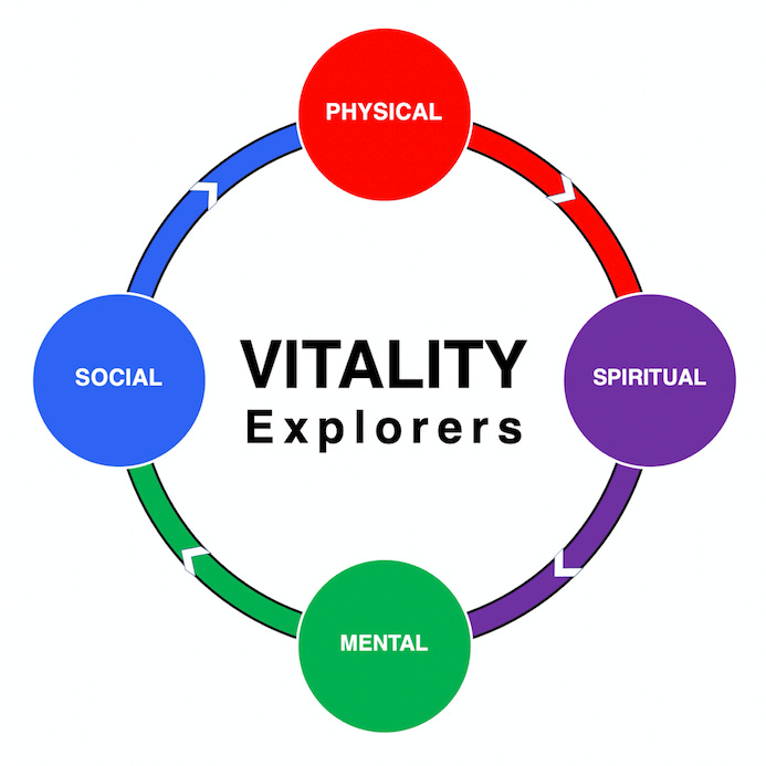 VyVerse | Vitality Explorers | Allan Mishra, MD logo