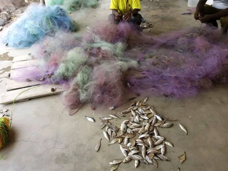 CRACKDOWN - Mangochi district takes action on monofilament nets