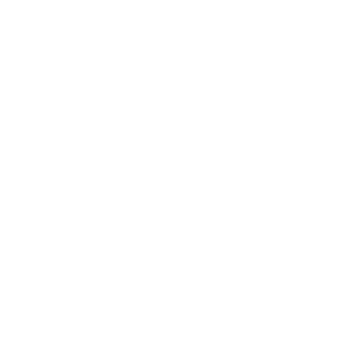 The Digital Moguls