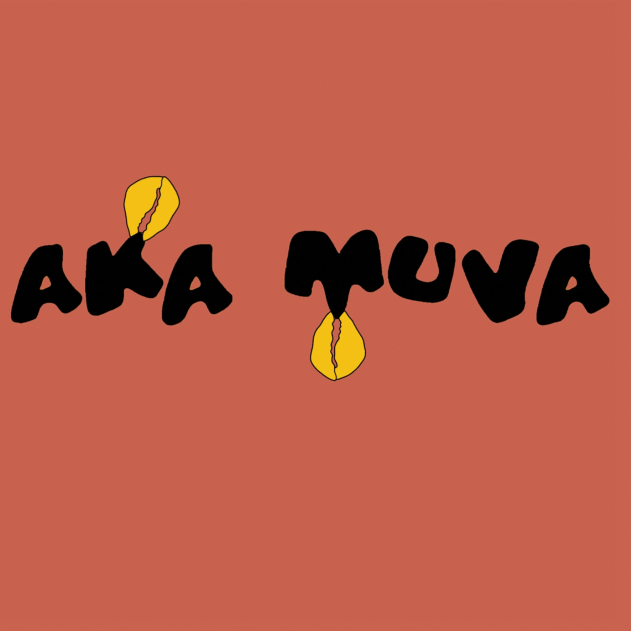 Artwork for aka muva