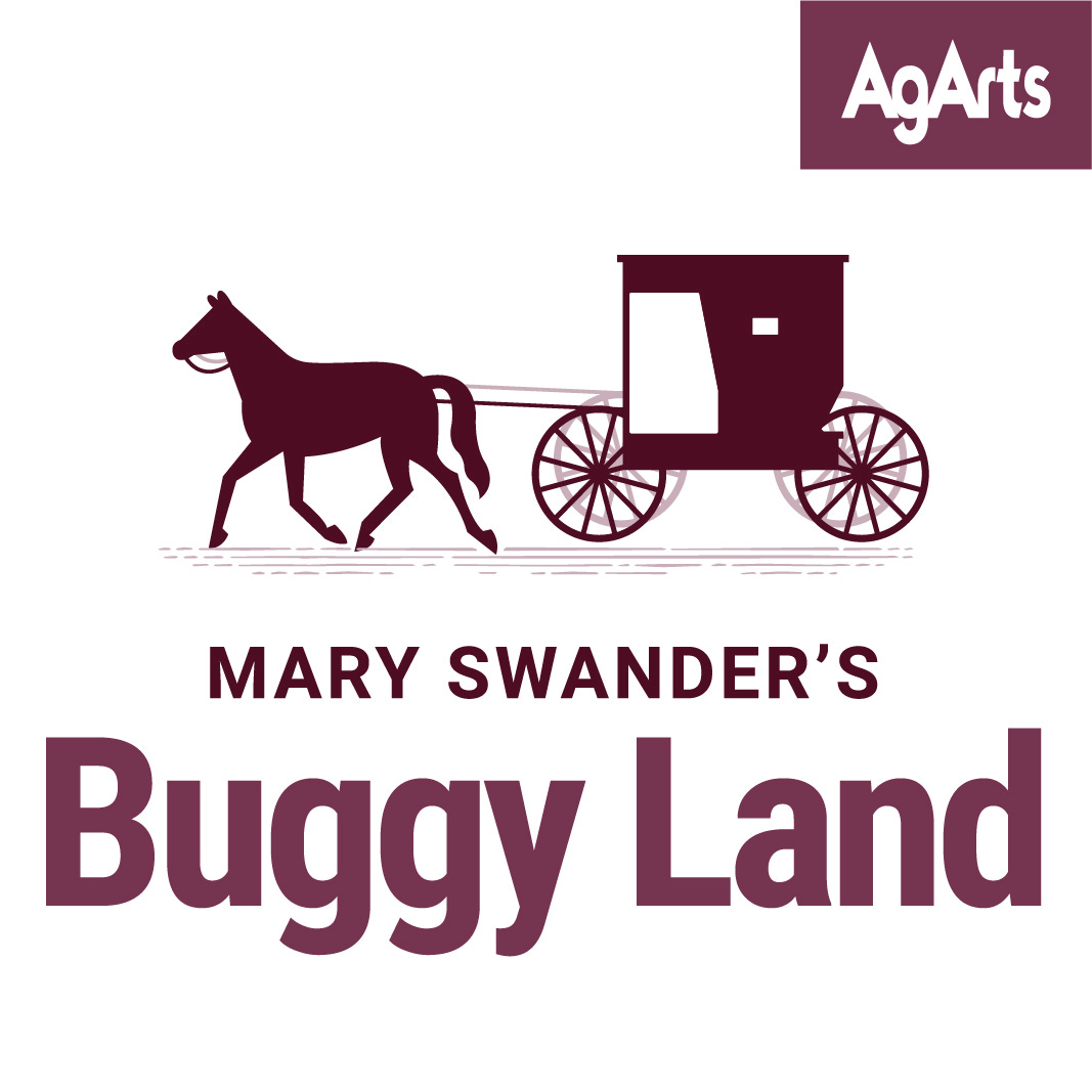 Artwork for Mary Swander’s Buggy Land