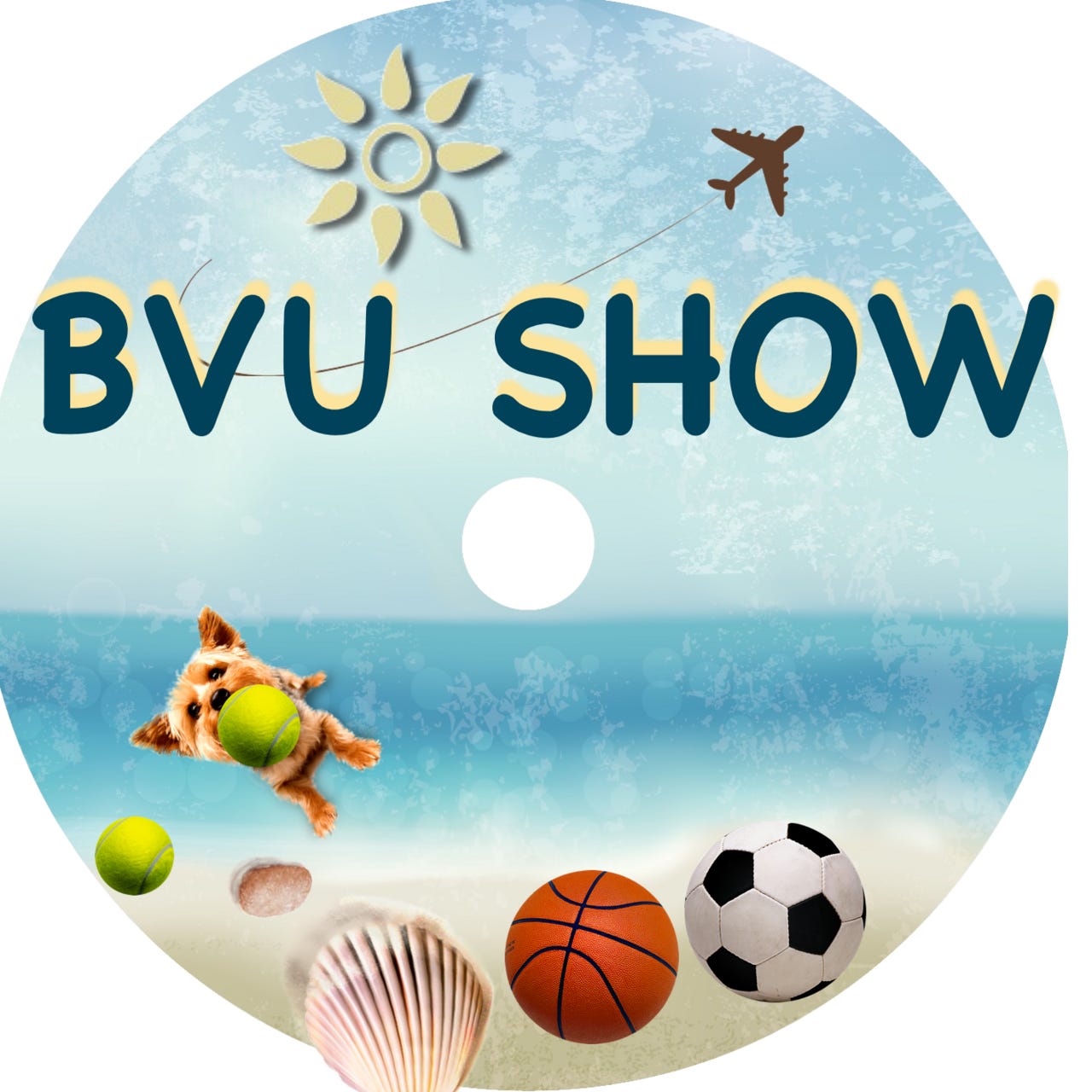Brian Vs. Utah  logo