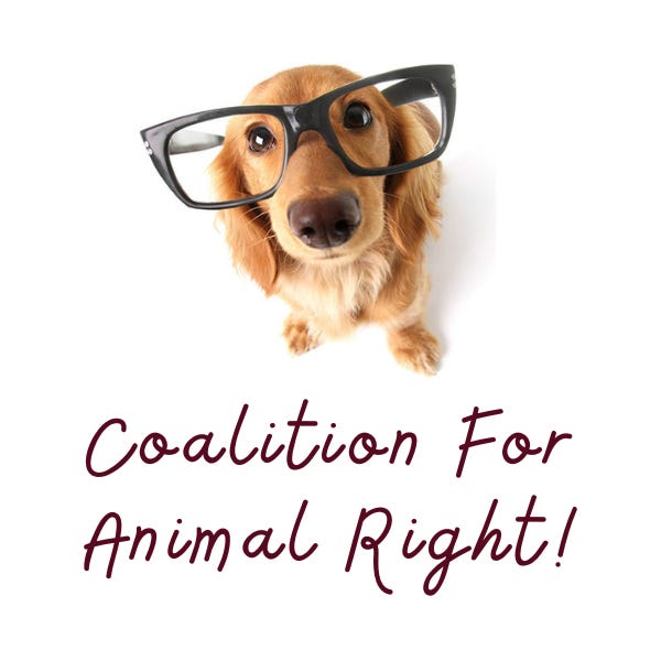 Coalition For Animal Right!