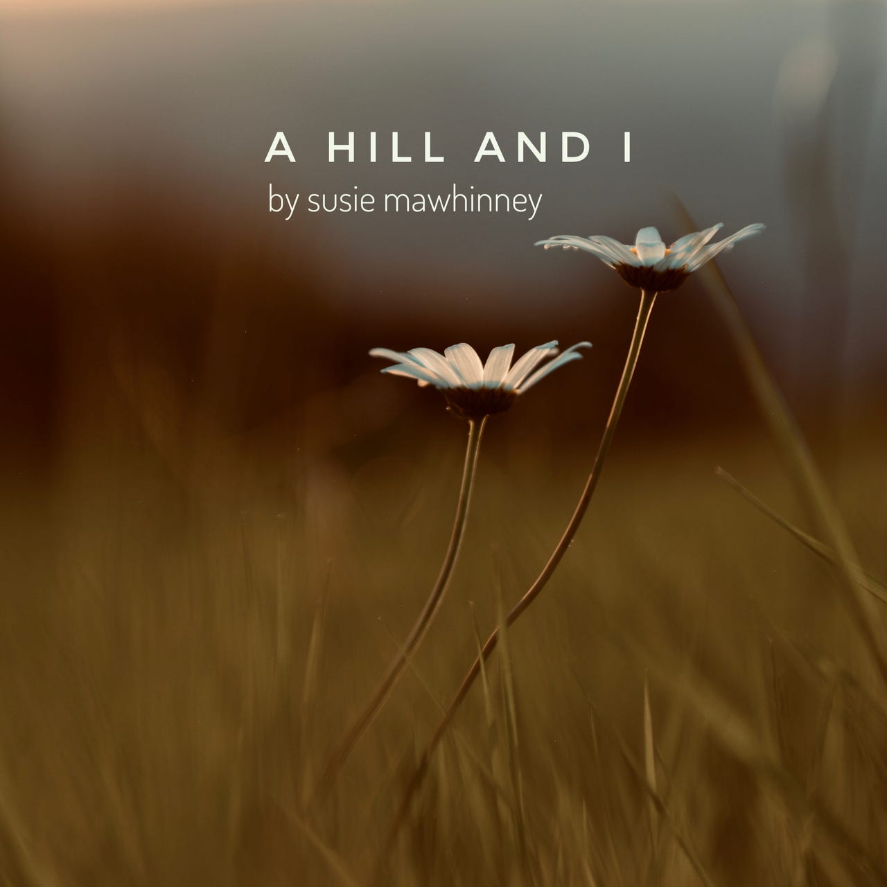 Artwork for A hill and I