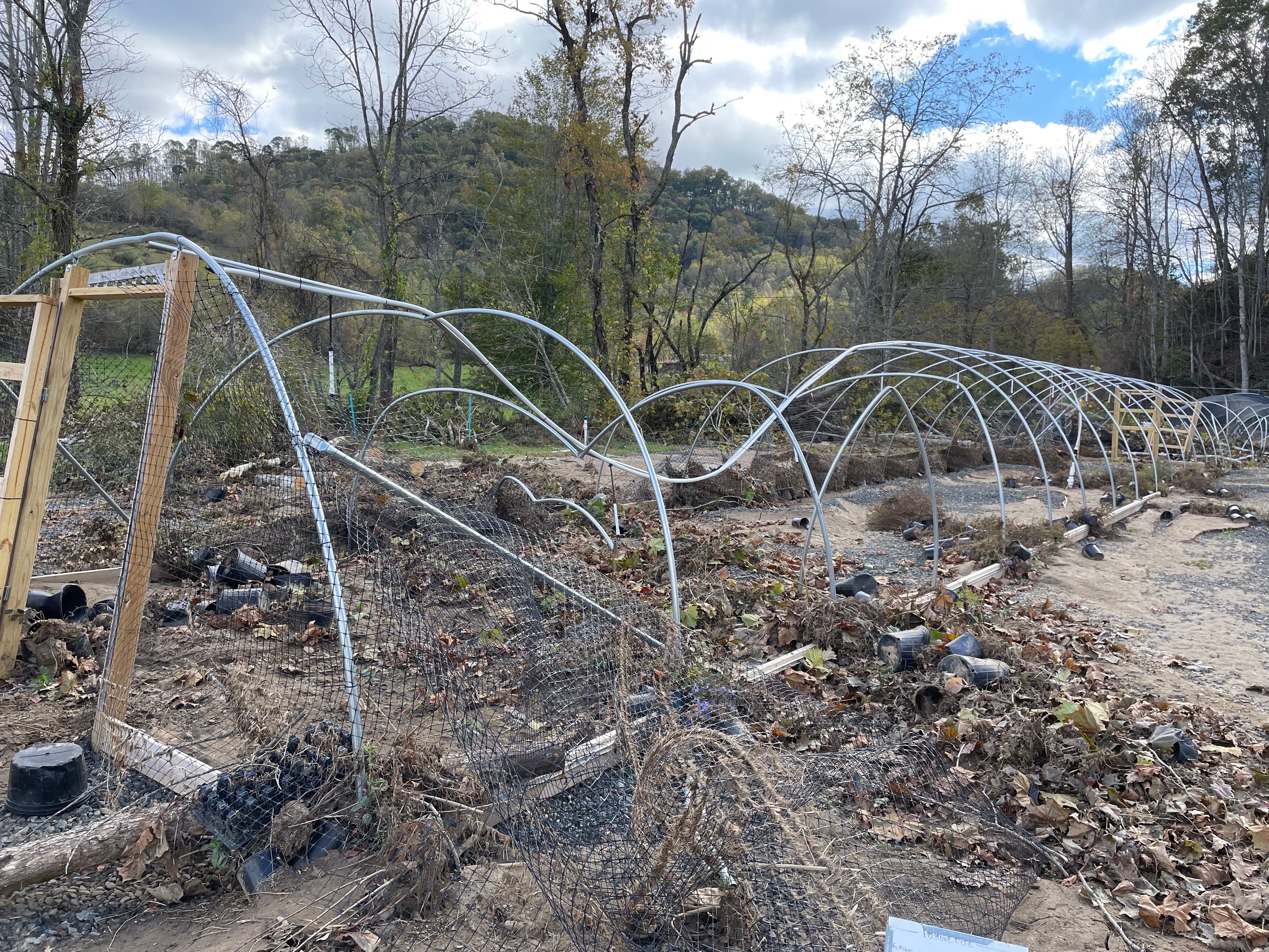 Trying to help, some by Jeanne Malmgren Rx Nature