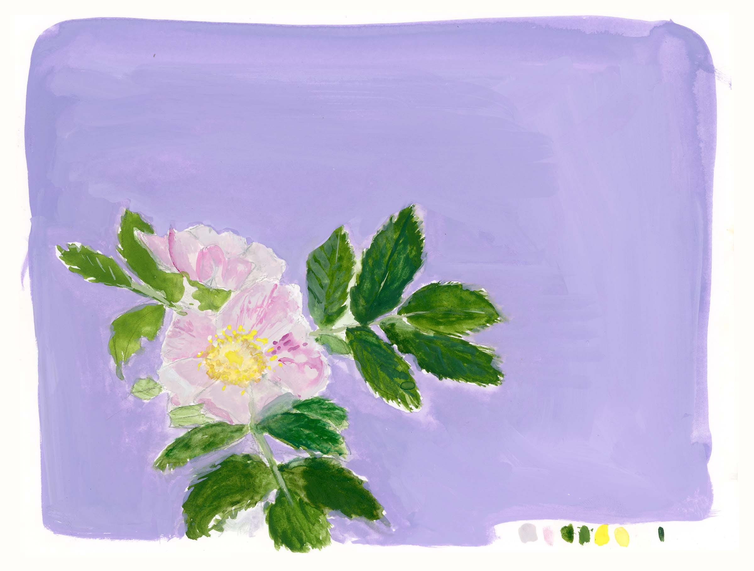 An overly positive letter from me to you