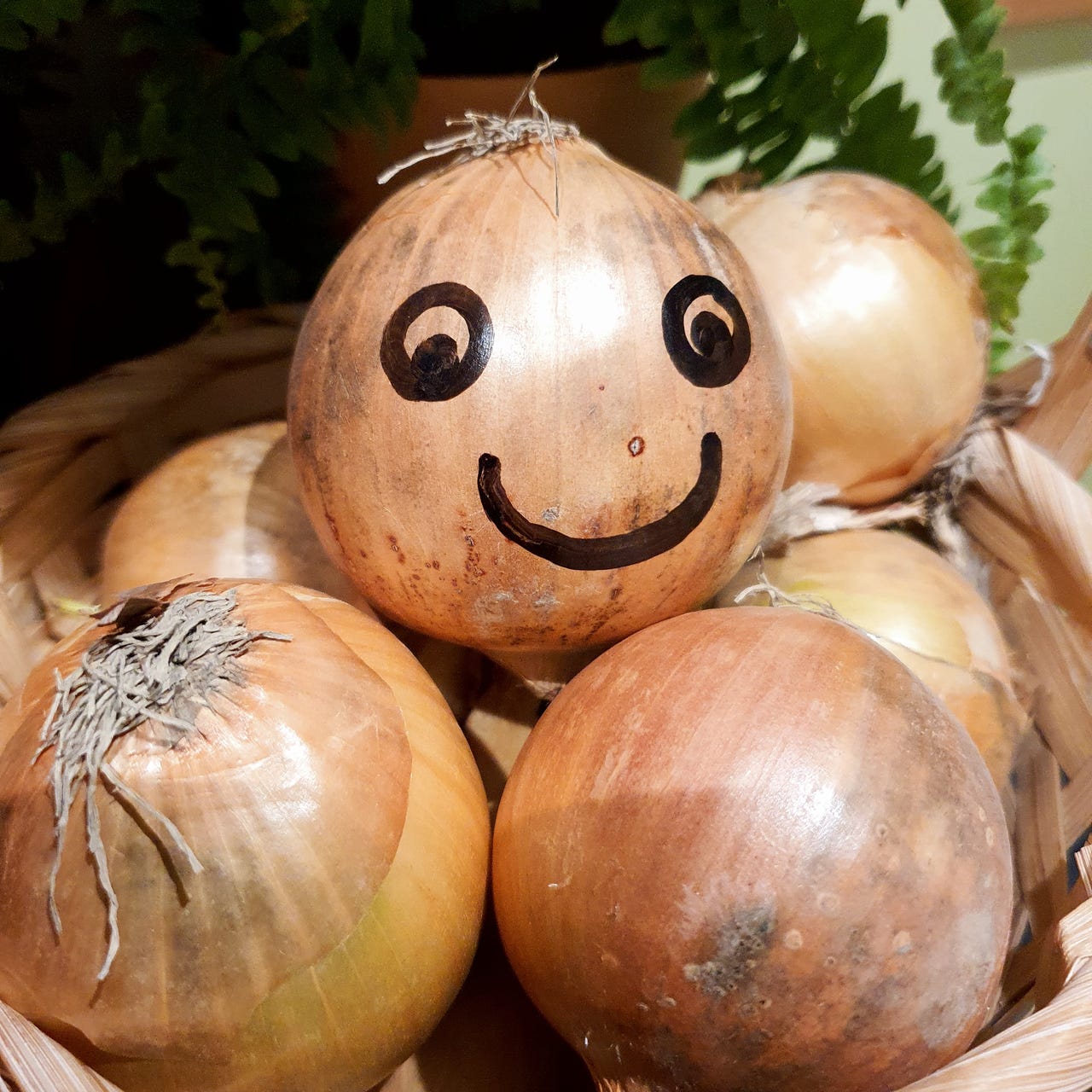 The Sacred Onion