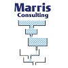 Artwork for Marris Consulting's missive