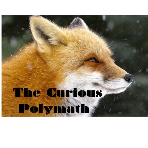 Artwork for The Curious Polymath