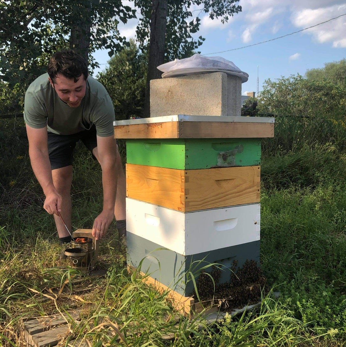 A Boy and his Bees