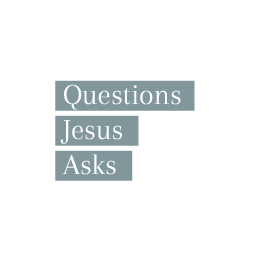 Artwork for Questions Jesus Asks