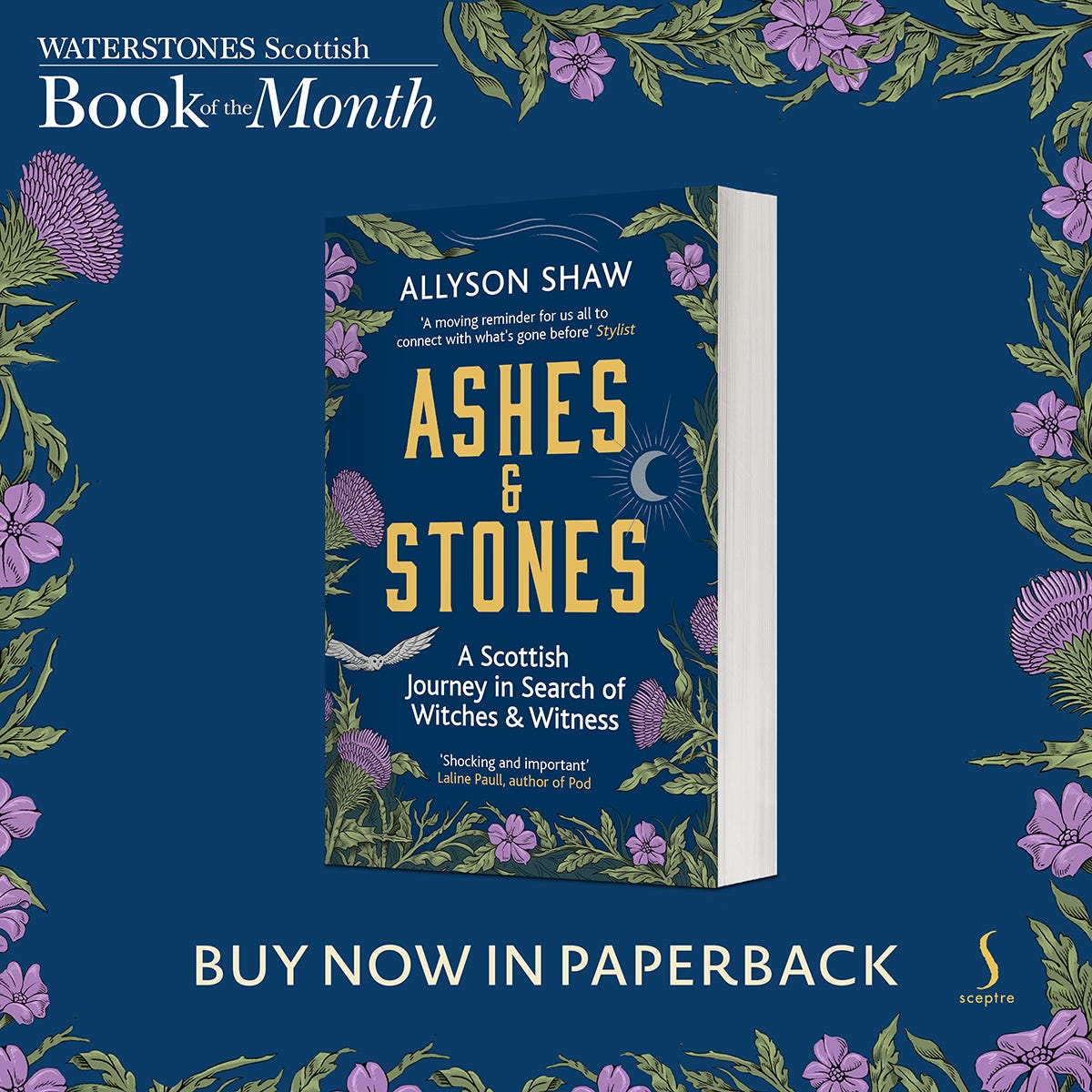 Ashes and Stones, Book by Allyson Shaw