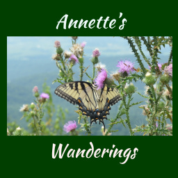 Annette's Wanderings