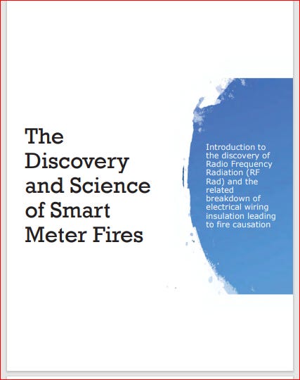 RF, Vegetation, The Grid, and Fires - by Patricia Burke