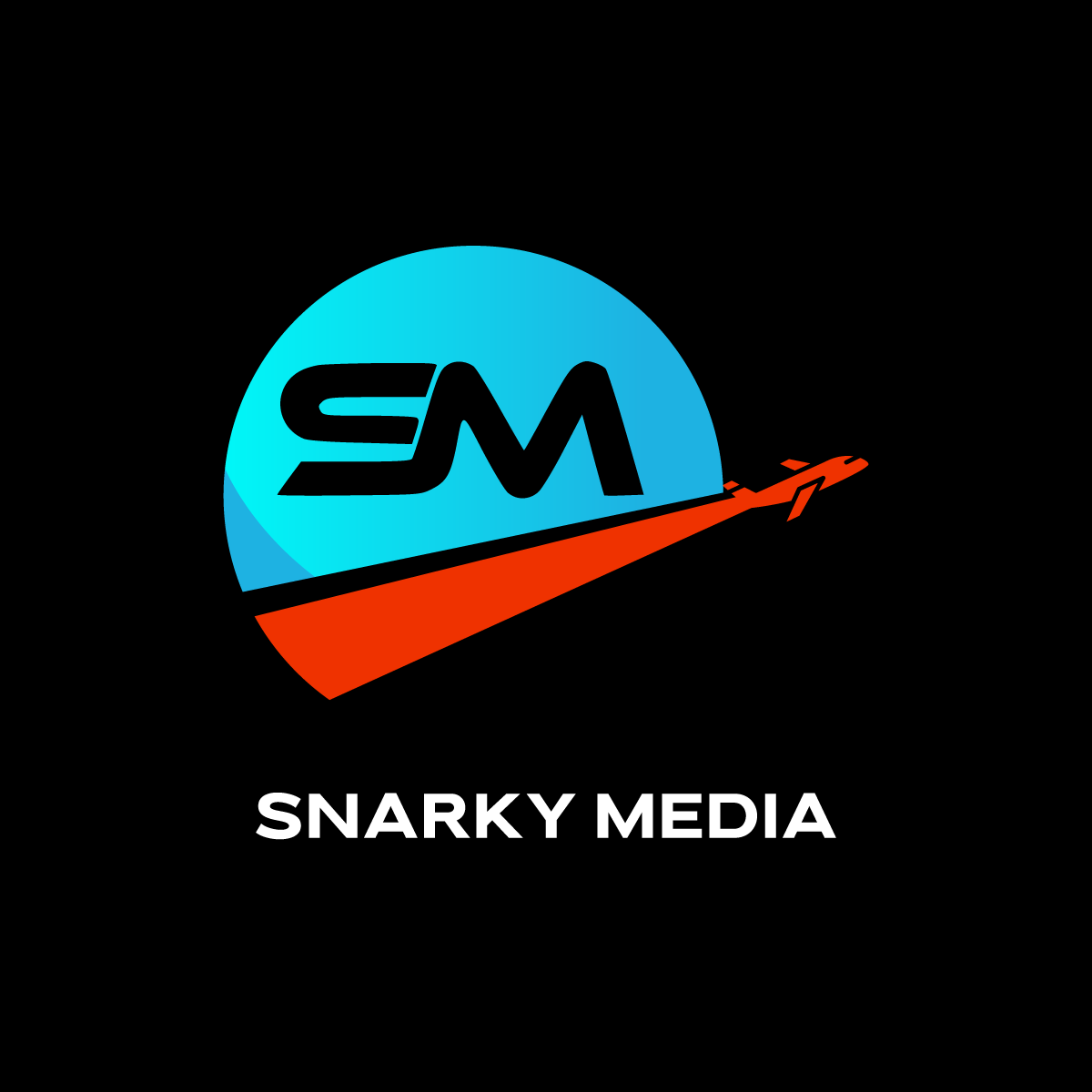 Snarky Charts Charts & Stuff logo