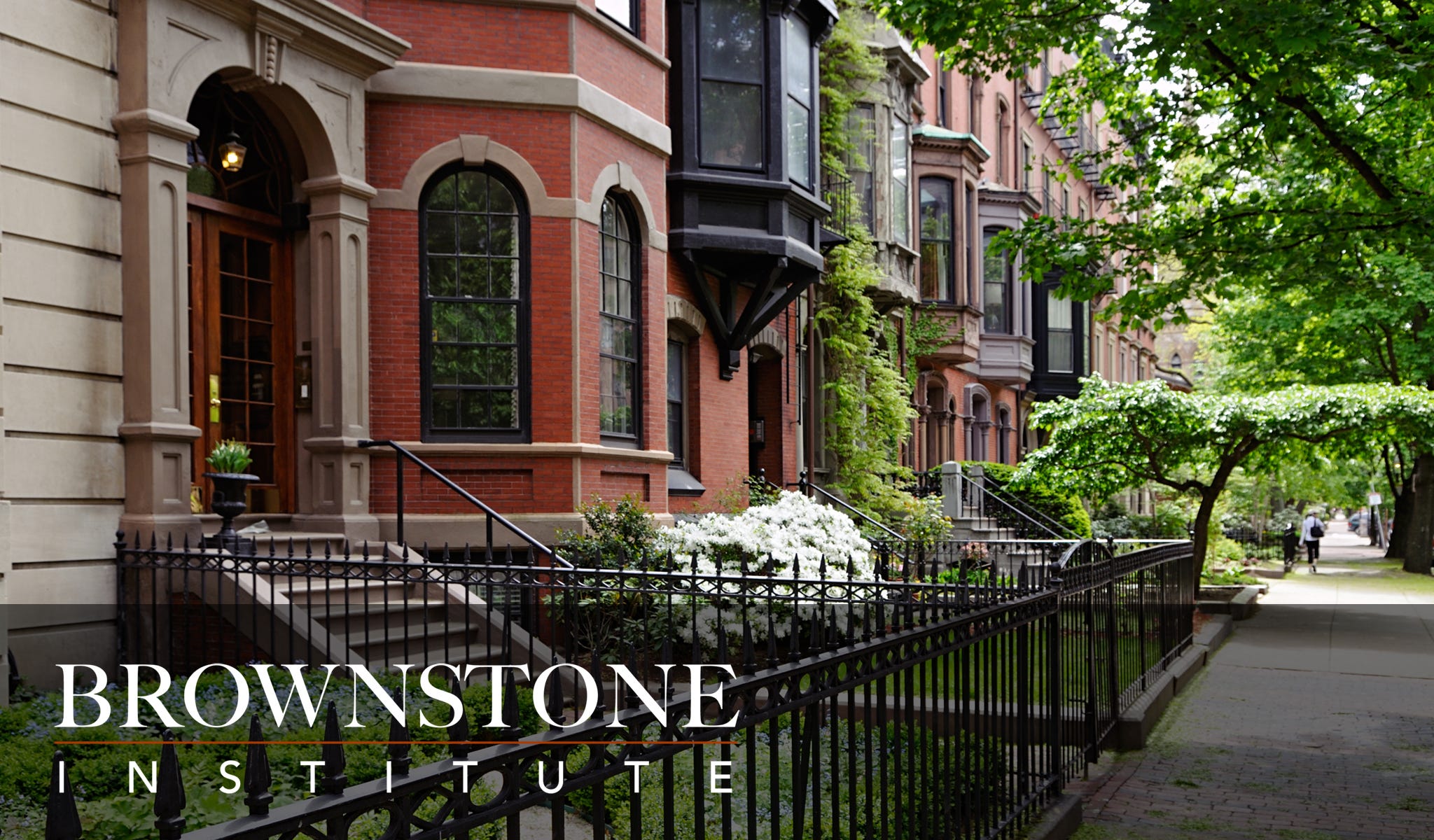 Brownstone Institute at the Crossroads