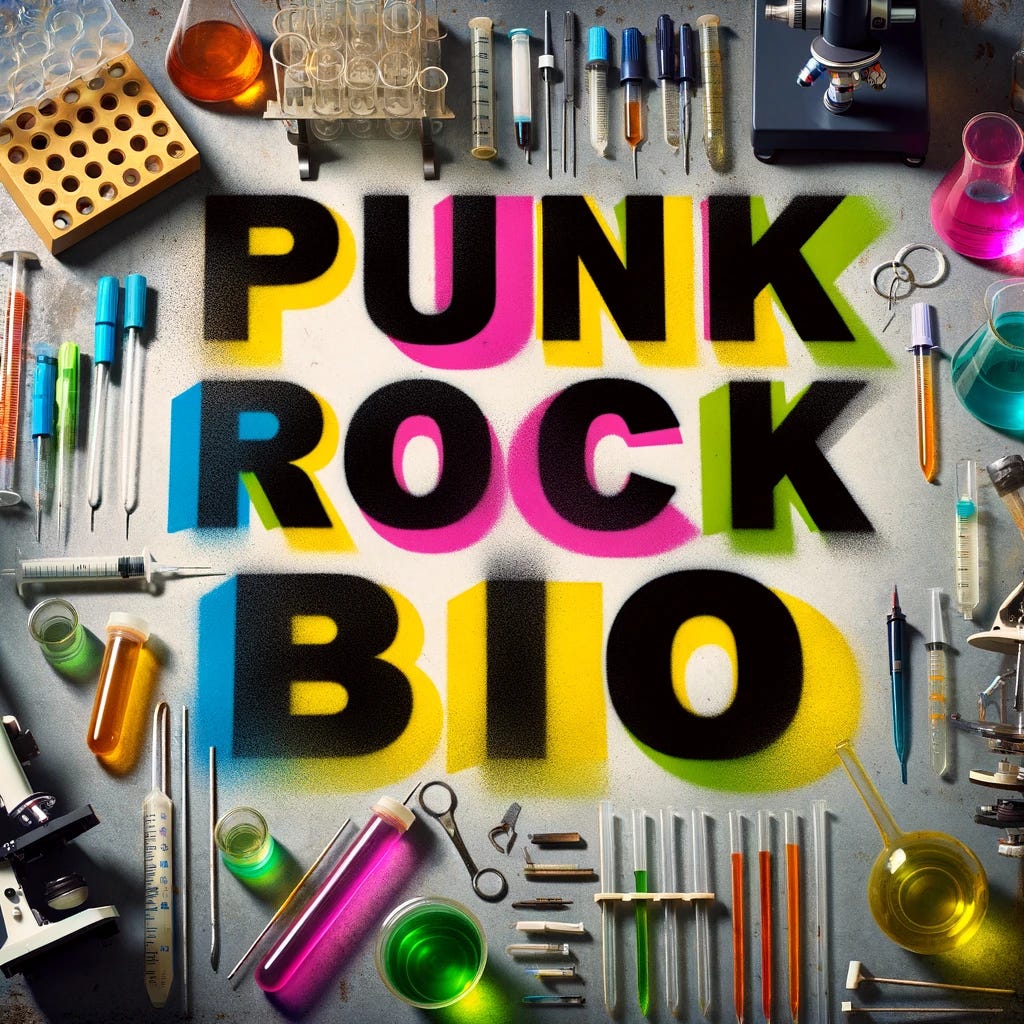 Artwork for Punk Rock Bio