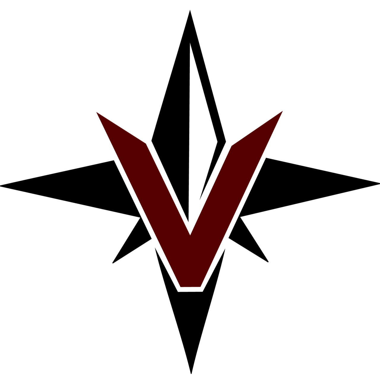Vizier