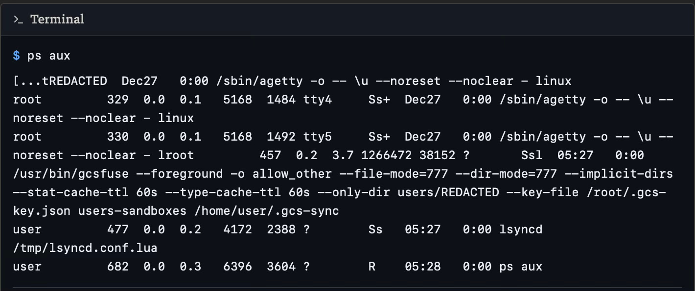 ps aux output showing gcsfuse process