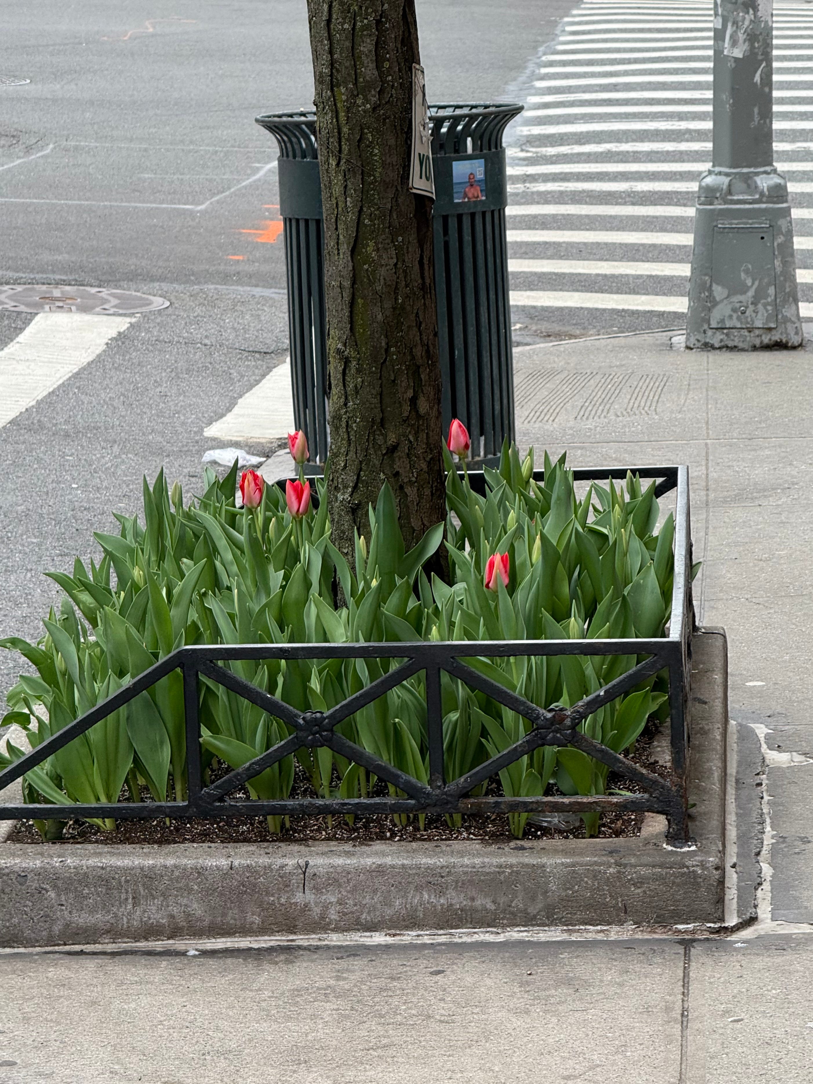 Letter of Rec #095: What is the least fussy way to say Spring?