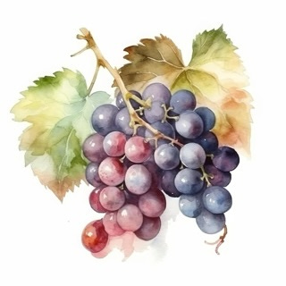 What’s On My Mind Grapes? logo