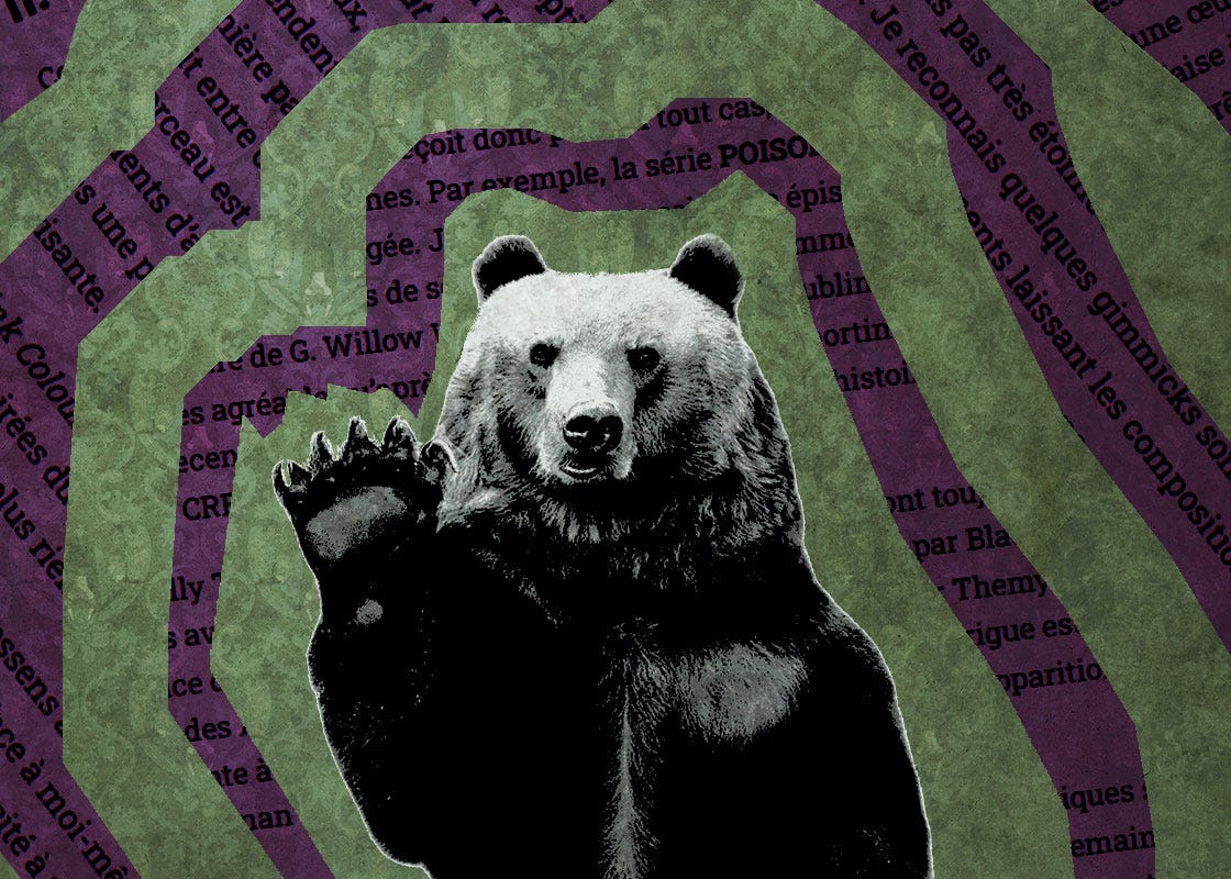 Bonne année 2025 et meilleurs vœux à vous ! Noisybear