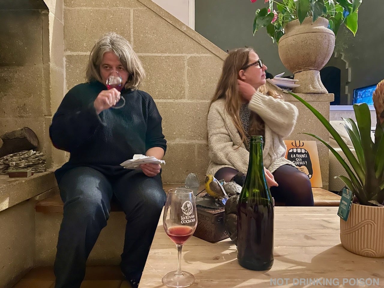 Fall 2023 Natural Wine Salons - by Aaron Ayscough