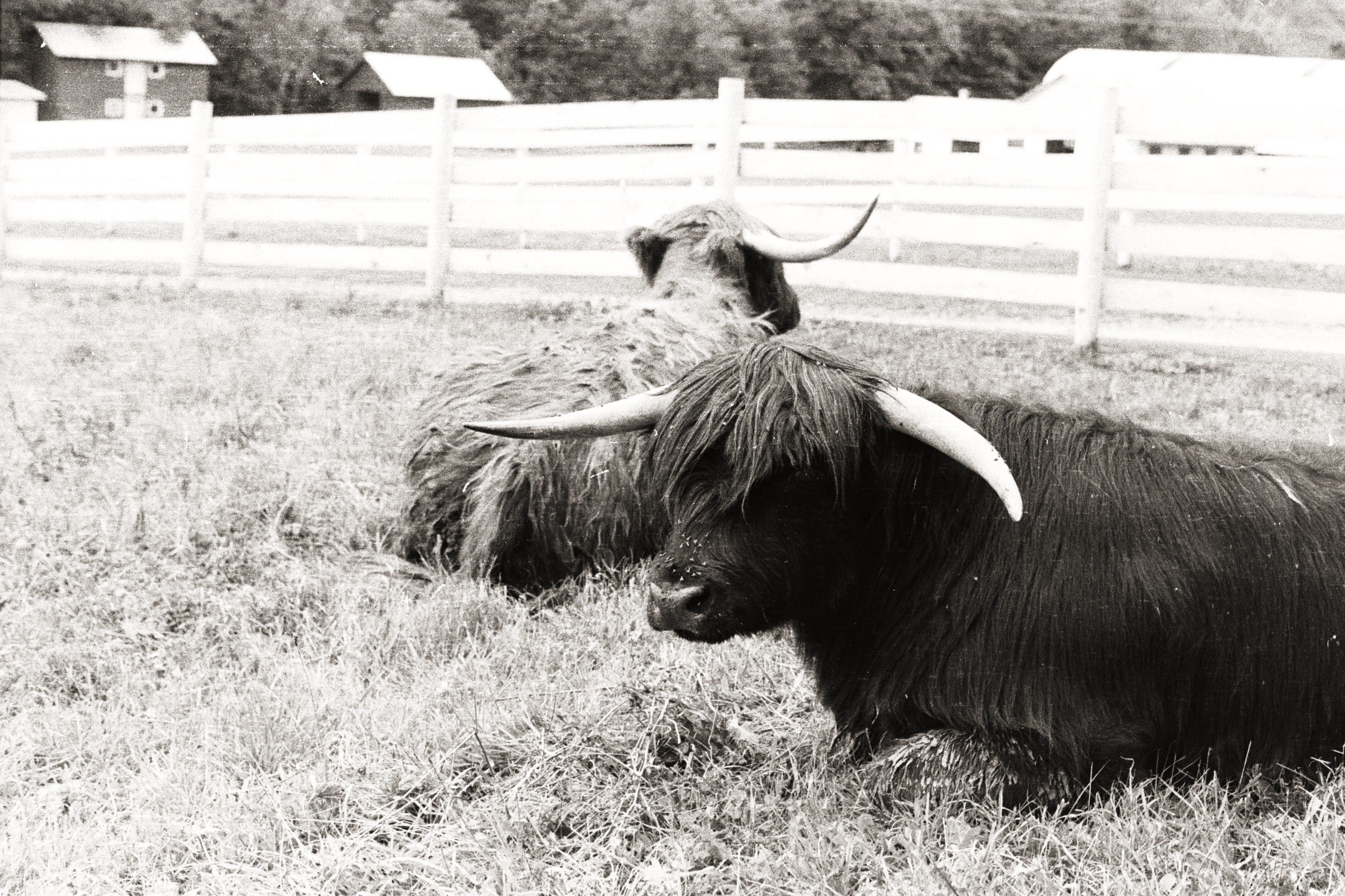 Brief Blue River 2 by Sam Broadway Good Boy