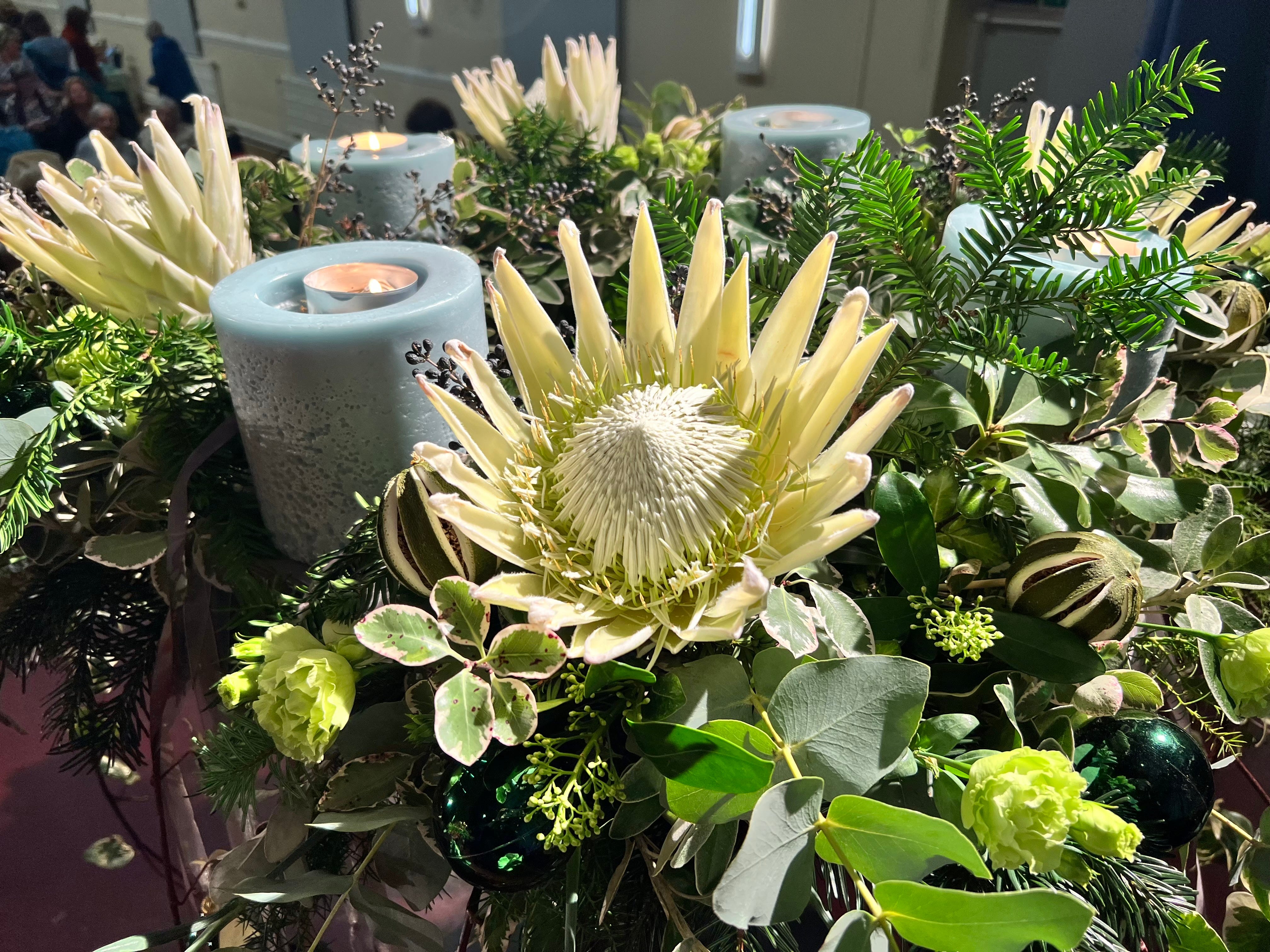 November Update - Jewels of the Garden