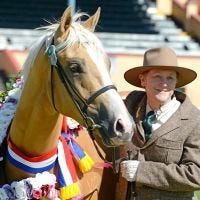 REFLECTIONS ON 50+YEARS OF HORSE BREEDING logo