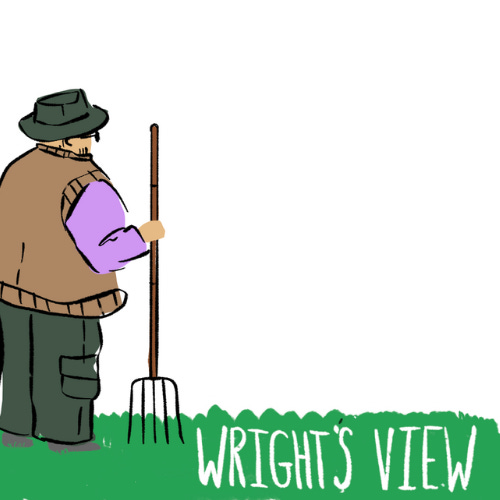 Wright's View