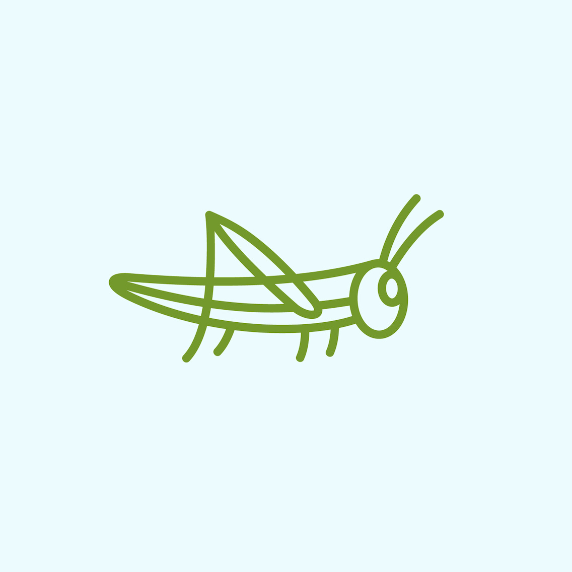 Grasshopper 草蜢