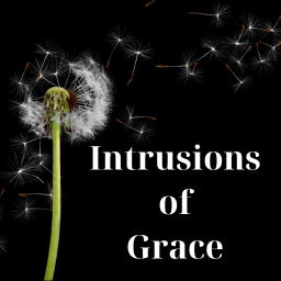 Artwork for Intrusions of Grace