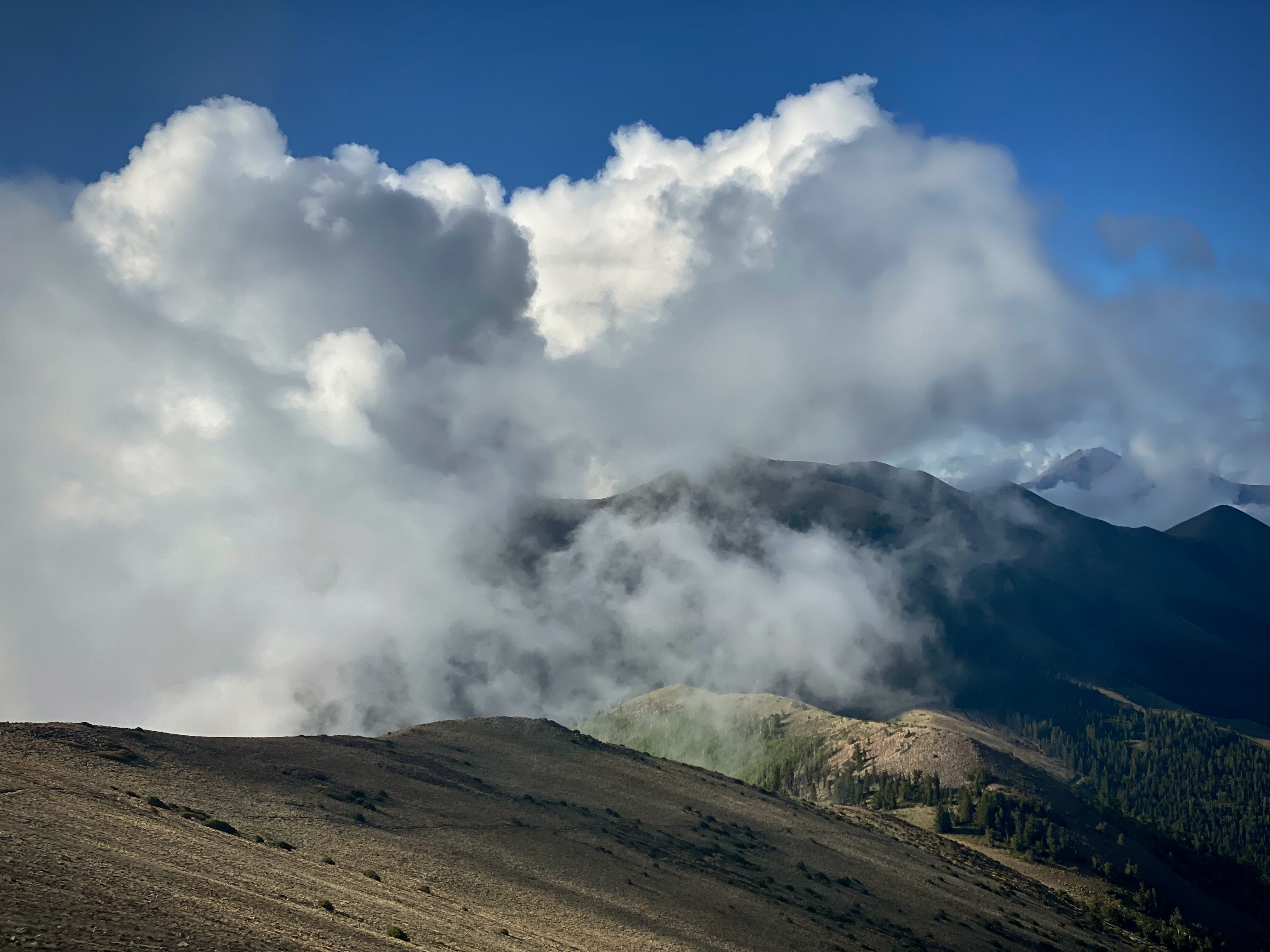 The Beacon of EverWonderous Light by Amiee Maxwell