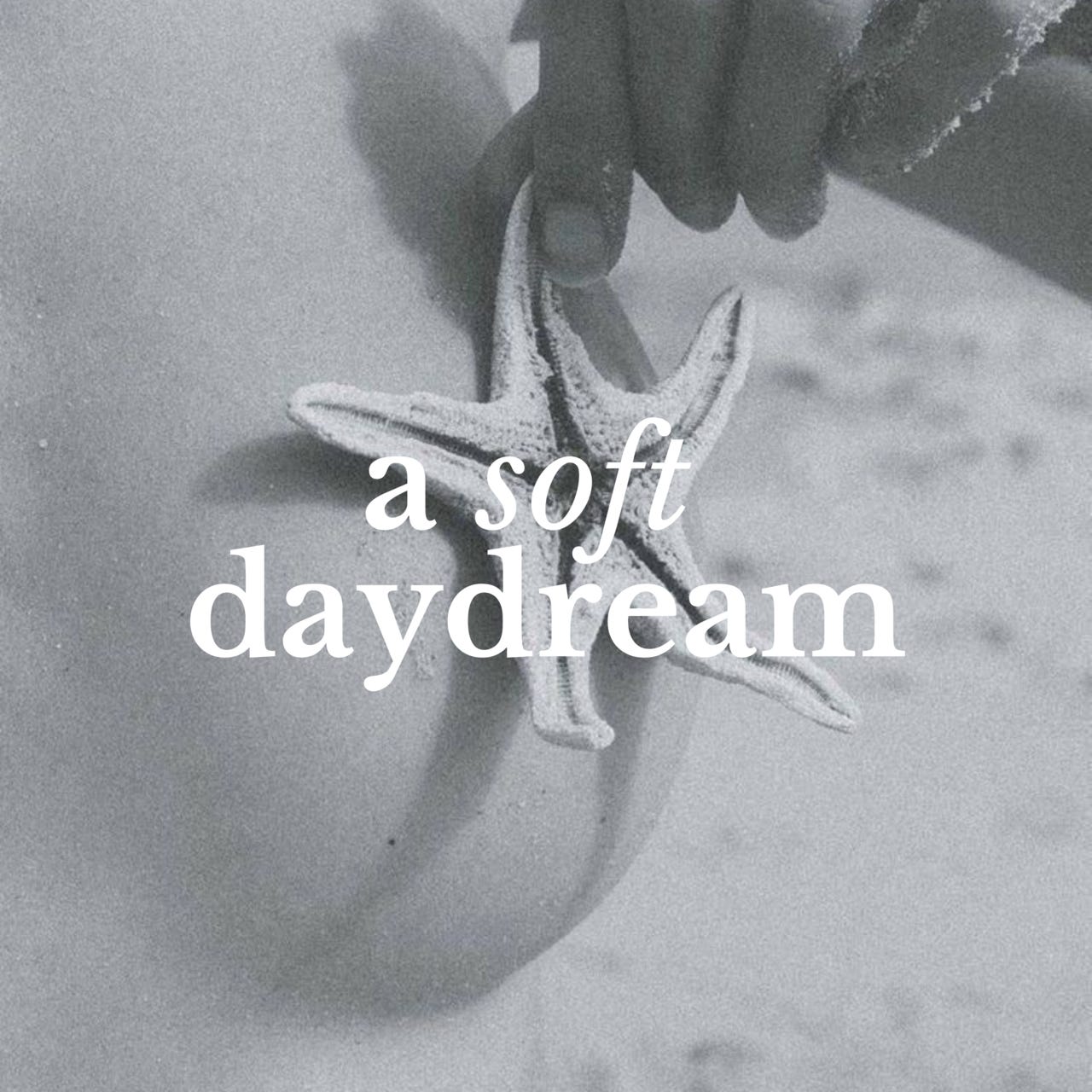 a soft daydream logo