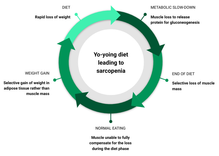 How to get out of the yo-yo diet cycle.