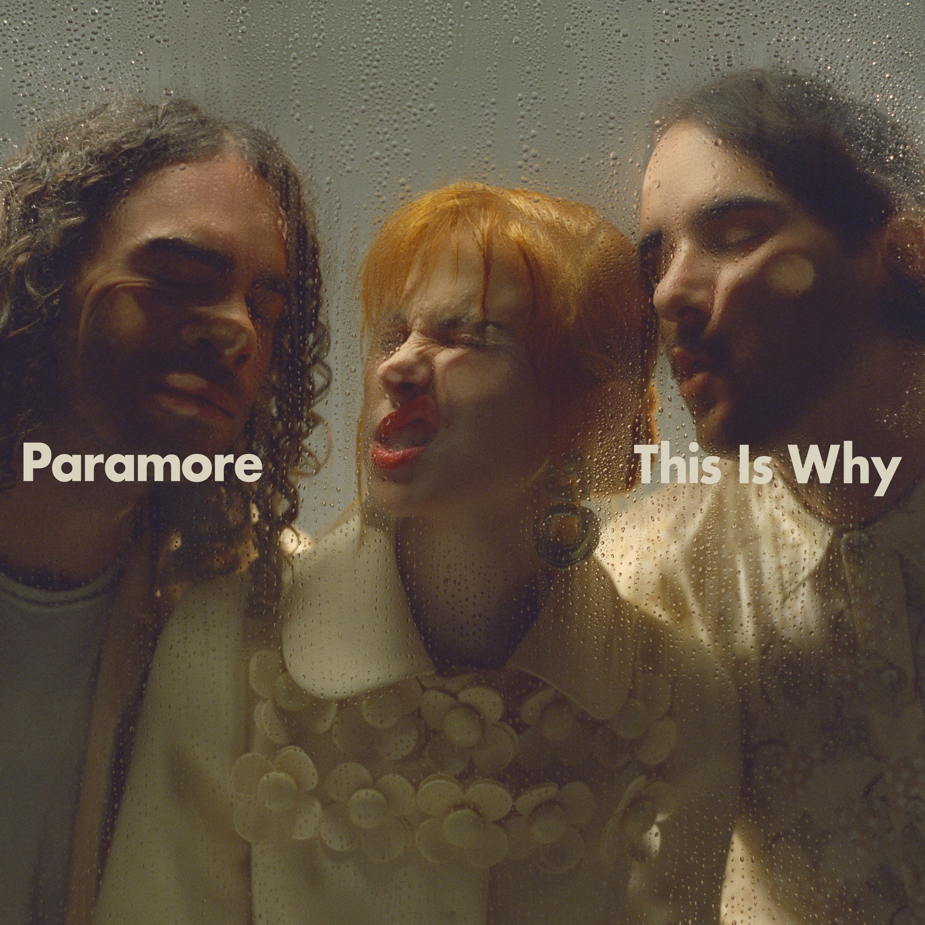 Paramore - Riot-3 Album Cover Sticker Album Cover Sticker