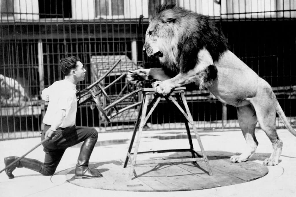 Primer plano de un látigo de domador de leones en el aire contra un fondo  de circo desenfocado creado con ai generativa
