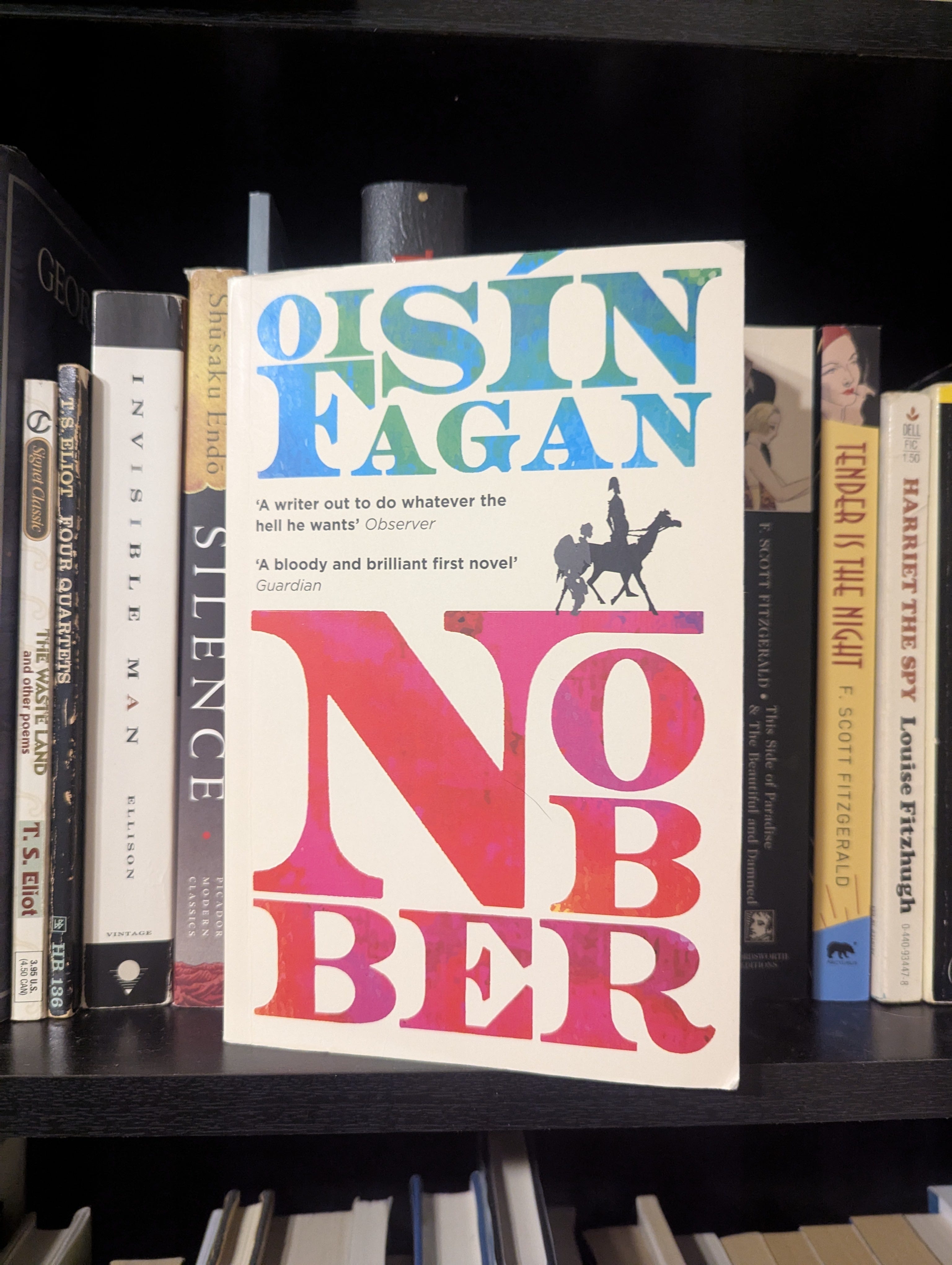 Next Book: Nobber By Oisín Fagan - By Michael Lilienthal