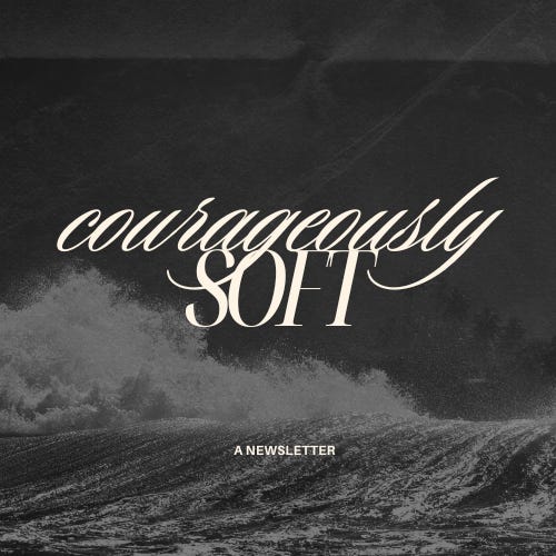 Artwork for Courageously Soft