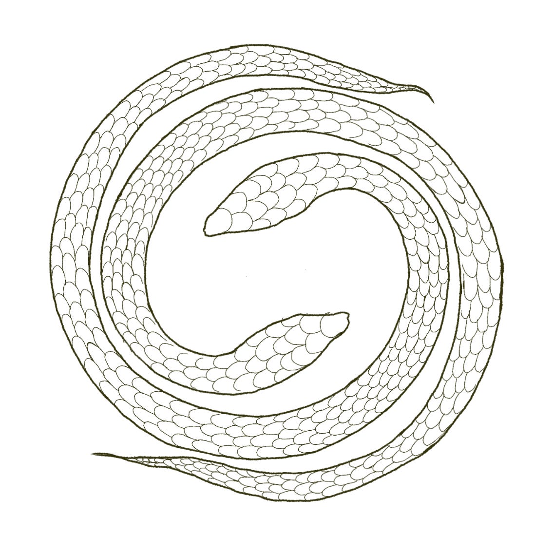 WEAVING SONGLINES logo