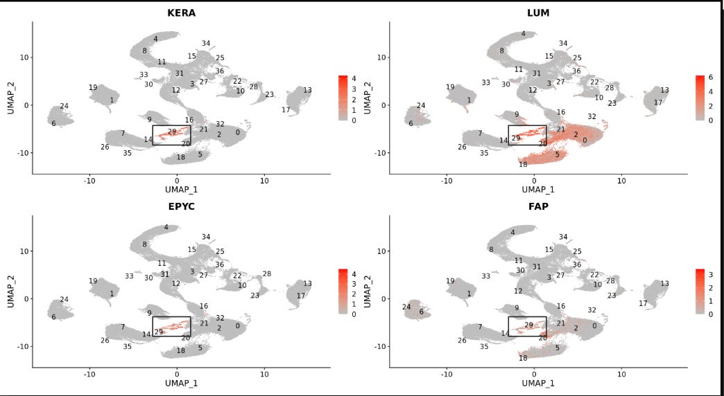 Single-cell clustering data from Sid's tumor