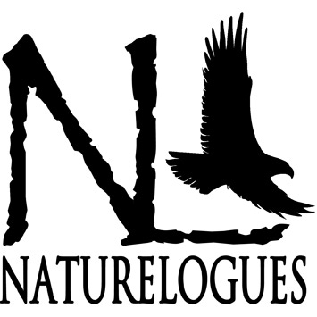 Artwork for Naturelogues:  Stories and photos from nature