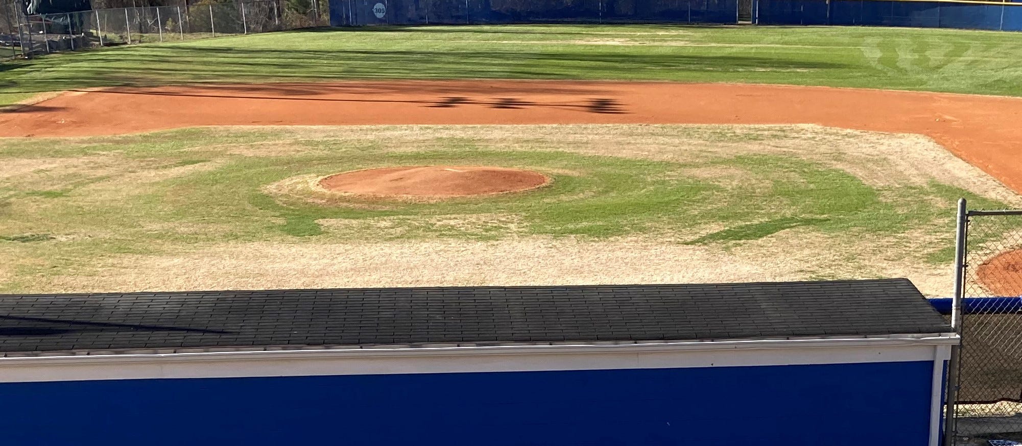 Baseball Fan Perspective logo