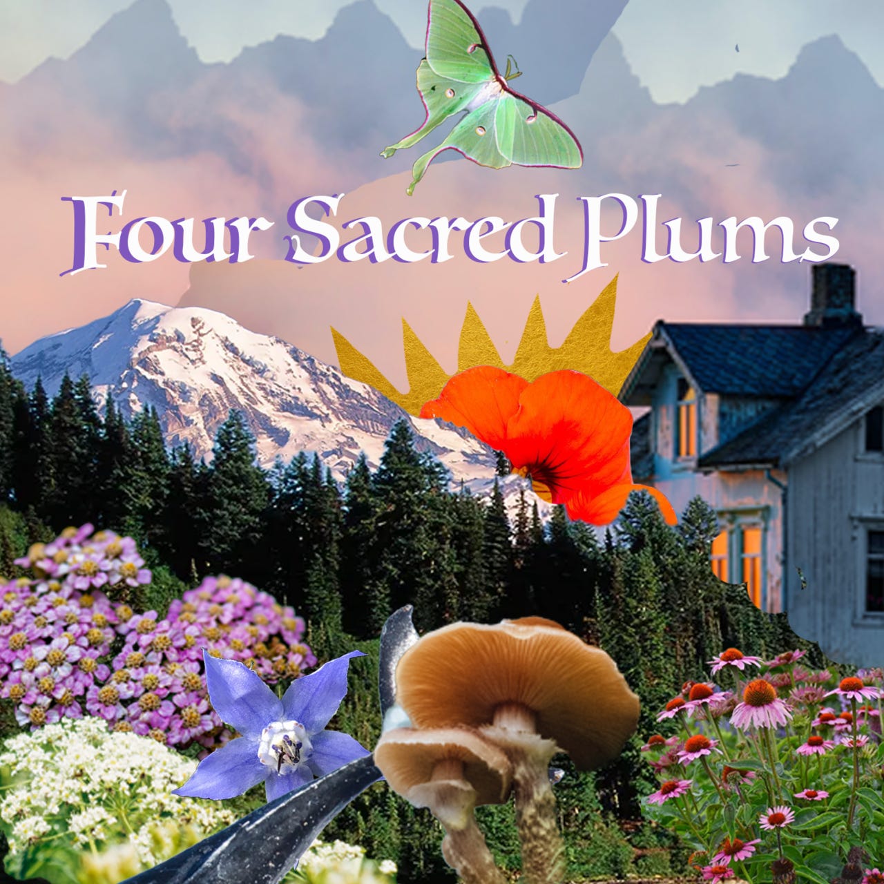 Four Sacred Plums