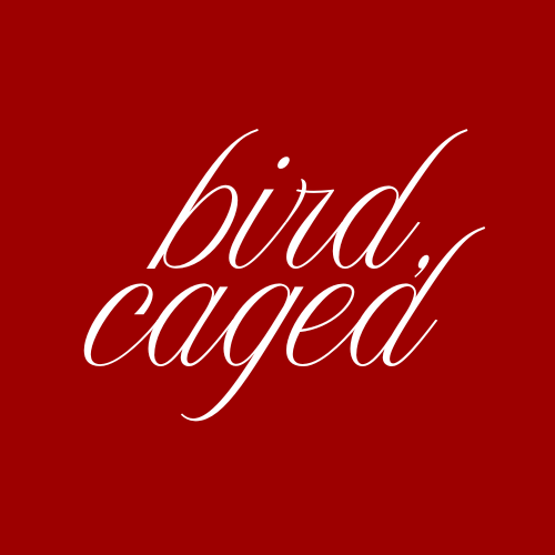 bird, caged