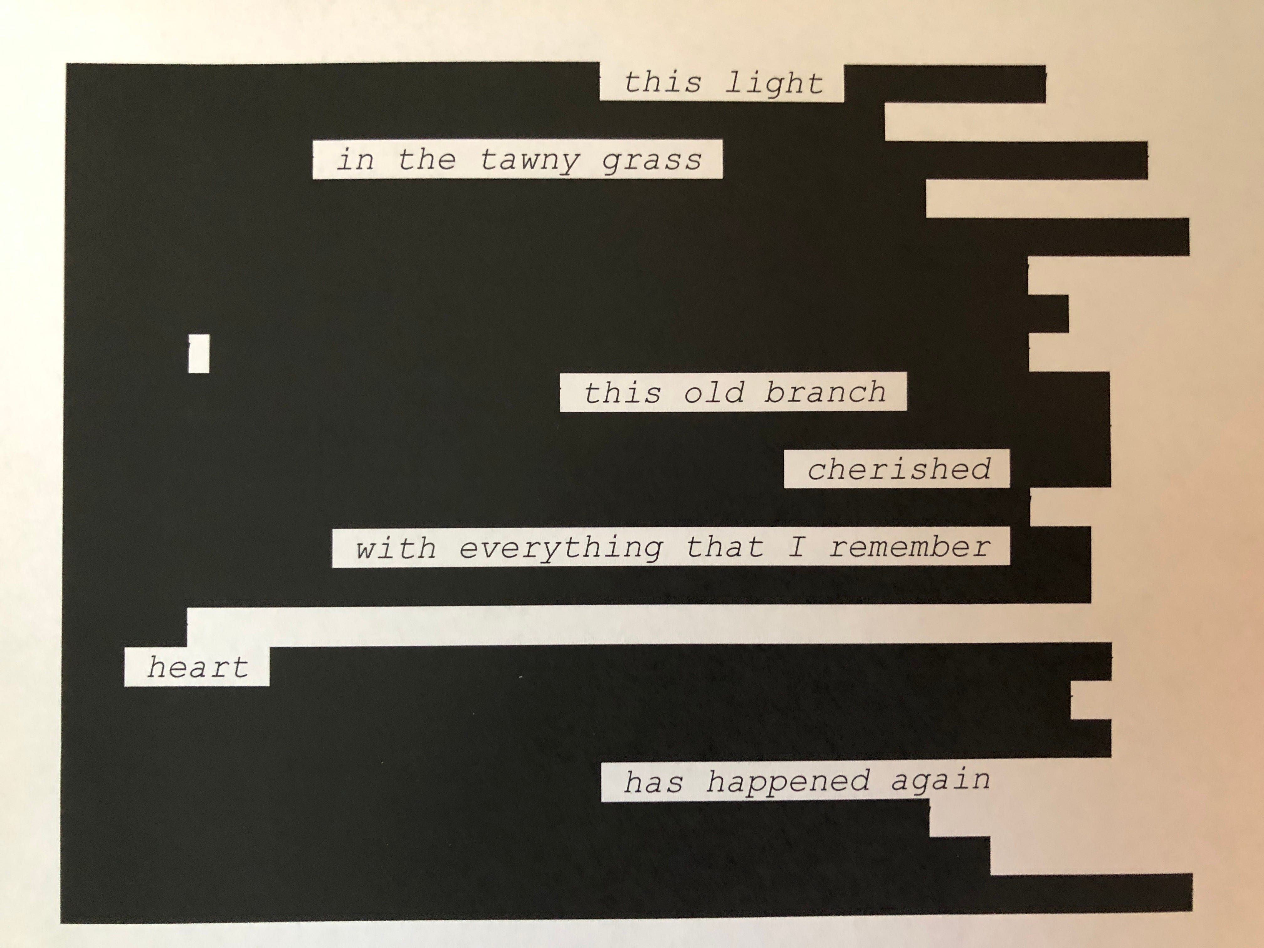 The Turning by Judith Berger Medicine of the Forest